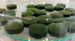 chlorella-jest-bogata-w-witamine-b12